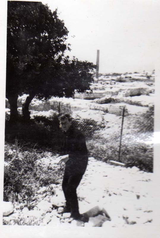 Pete Healey