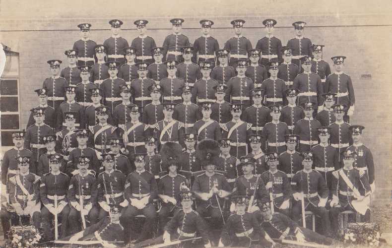 A Coy 2LF