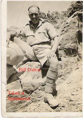 Bill Dalton