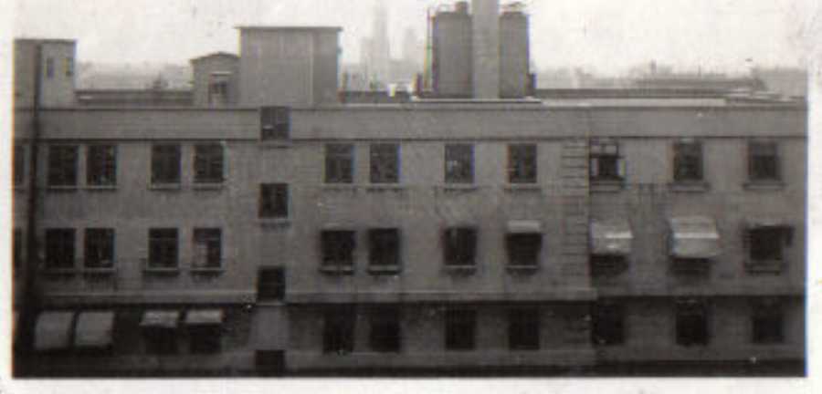 Images/FT086.jpg