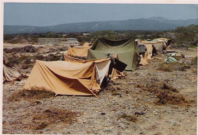 11c