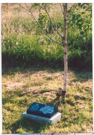 Images/Egypt_Vets_Tree.jpg