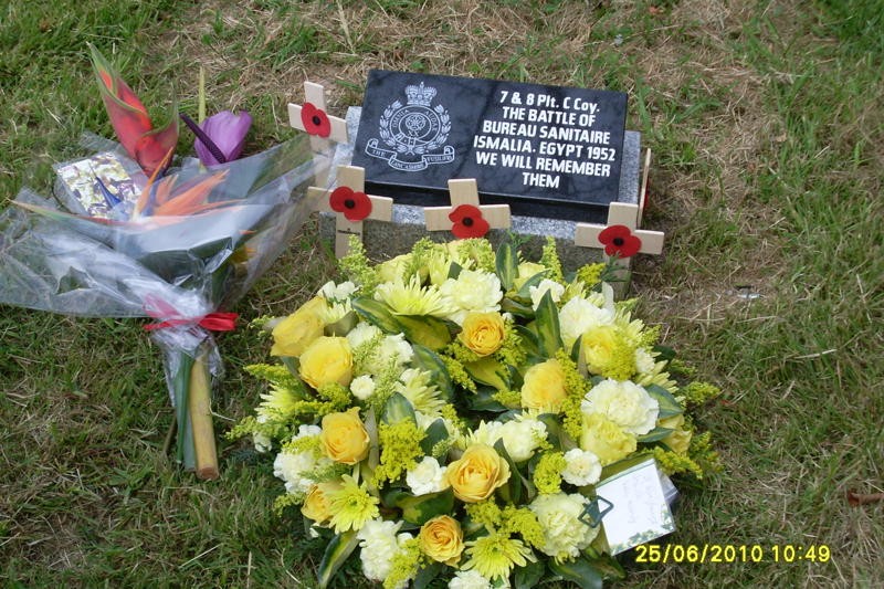 Images/Flowers.jpg